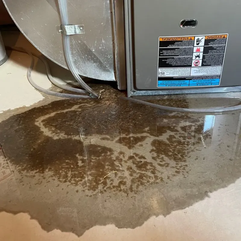 Pipe Burst and Leak Restoration in North Richmond, CA
